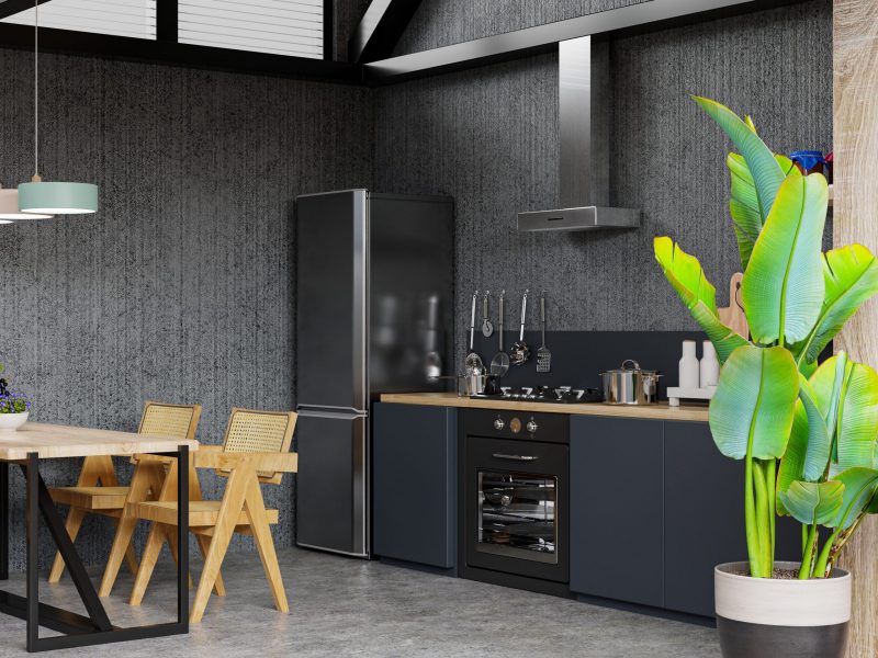 Interior of spacious kitchen with concrete wall.3d rendering