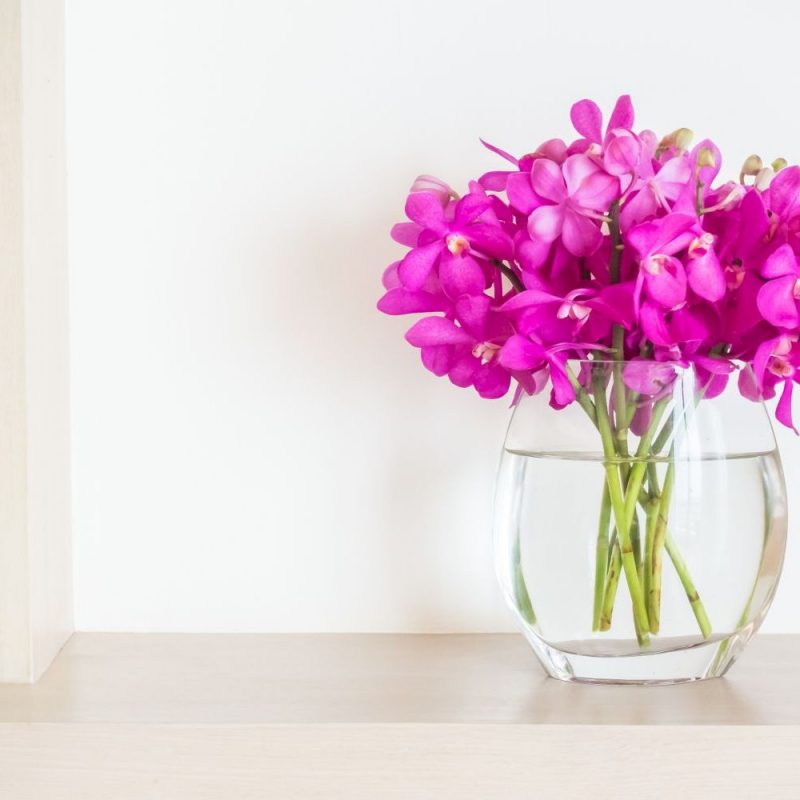 Orchid flower in vase decoration interior of room