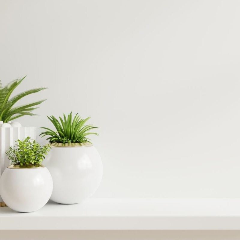Mockup wall with plants on Shelf wooden,3d rendering